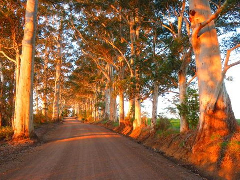 Innisfree Mountain Retreat - Accommodation in Bendigo 10