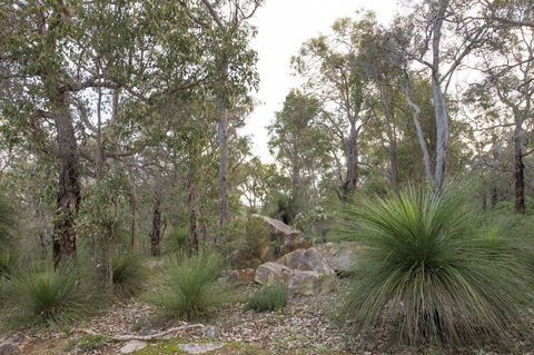 A Hidden Bush Delight - Accommodation in Bendigo 23