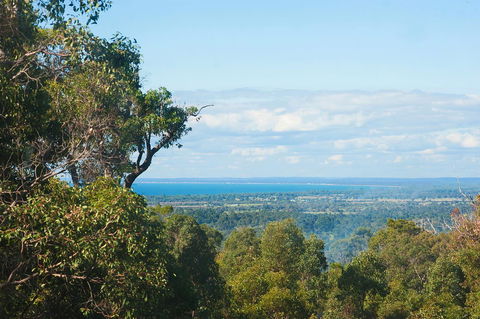 A Hidden Bush Delight - Accommodation in Bendigo 31