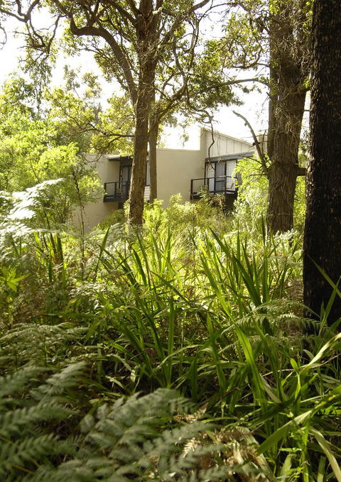 Margarets Forest - Accommodation in Bendigo 41