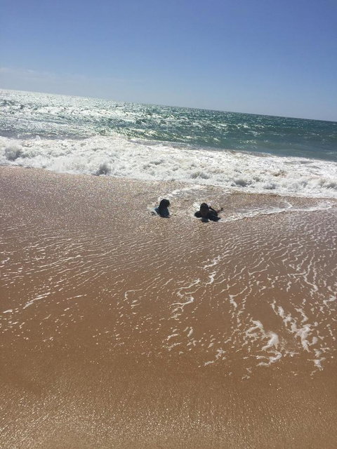 Beach House At SeaScapes.. - Accommodation in Bendigo 30