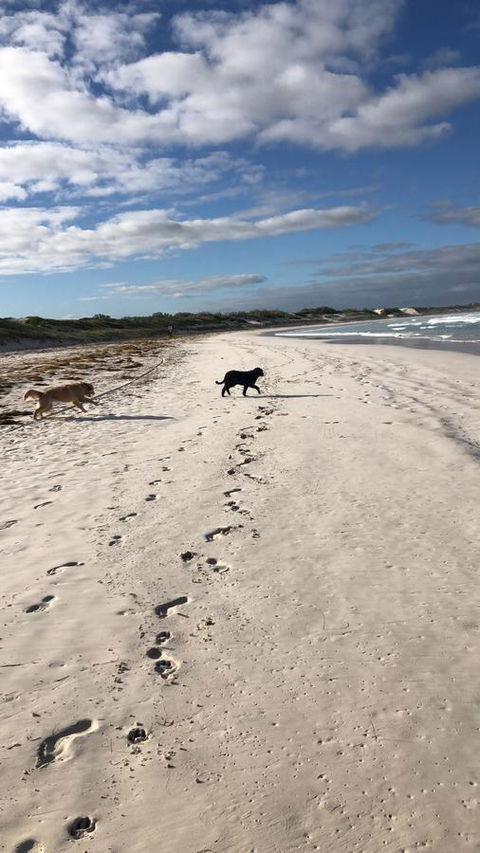 The Bothy Lancelin Family Retreat - Accommodation in Bendigo 30