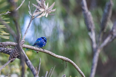 Surfside Ocean Beach Denmark Holiday Accommodation - Accommodation in Bendigo 3