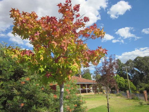 Bridgetown Valley Lodge - Accommodation in Bendigo 40