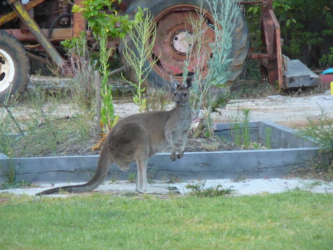 Nannup Bush Retreat - Accommodation in Bendigo 38