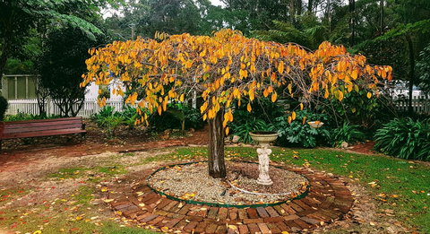 Adamsons Riverside Accommodation - Accommodation in Bendigo 22