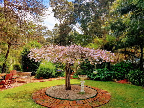 Adamsons Riverside Accommodation - Accommodation in Bendigo 25