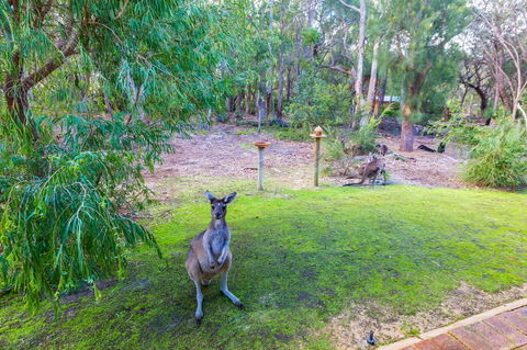 Yelverton Brook Conservation Sanctuary - Accommodation in Bendigo 11