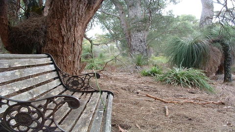 Yelverton Brook Conservation Sanctuary - Accommodation in Bendigo 42