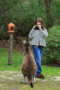 Yelverton Brook Conservation Sanctuary - Accommodation in Bendigo 39