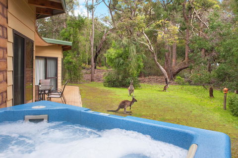 Yelverton Brook Conservation Sanctuary - Accommodation in Bendigo 9