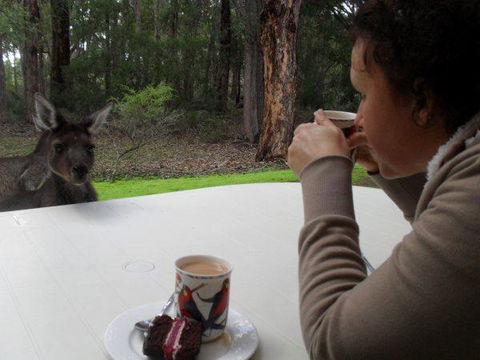 Yelverton Brook Conservation Sanctuary - Accommodation in Bendigo 44