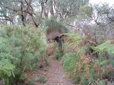 Yelverton Brook Conservation Sanctuary - Accommodation in Bendigo 41
