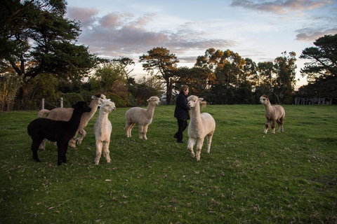 Celestine Retreat - Accommodation in Bendigo 6