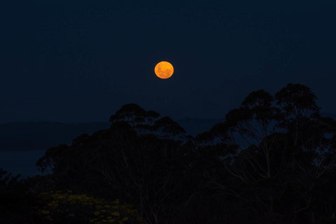 Celestine Retreat - Accommodation in Bendigo 11