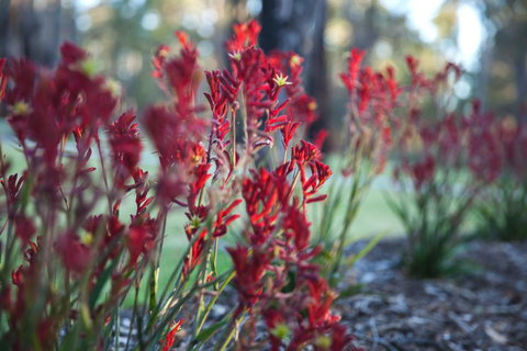 Amaroo Retreat & Spa - Accommodation in Bendigo 16