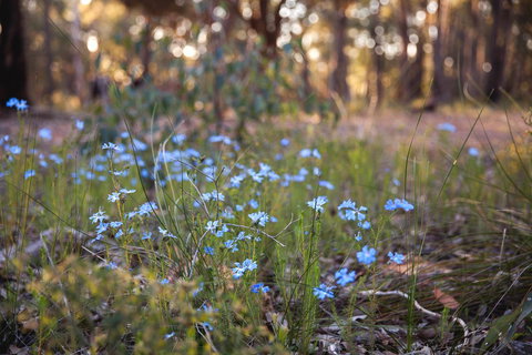 Amaroo Retreat & Spa - Accommodation in Bendigo 15