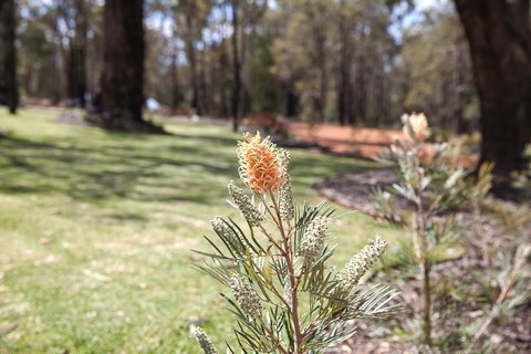 Amaroo Retreat & Spa - Accommodation in Bendigo 19