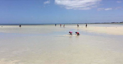 Beach House Dunsborough - Accommodation in Bendigo 22