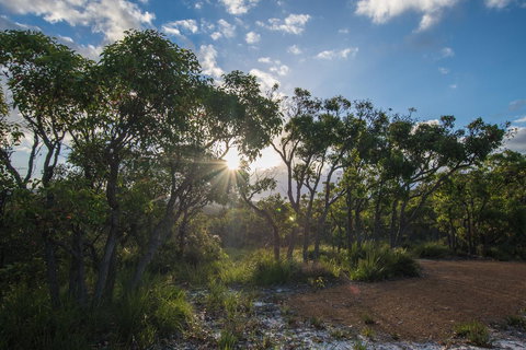 Cape Howe Cottages - Accommodation in Bendigo 1