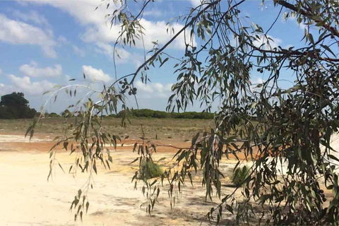 Ocean View Homestead - Accommodation in Bendigo 16