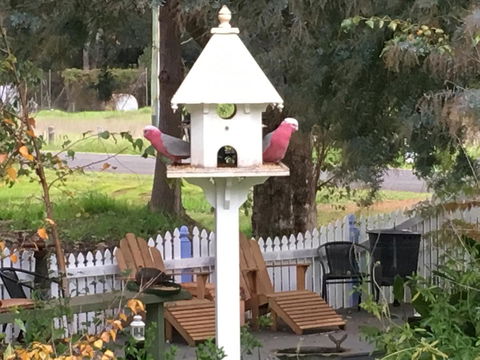 Applegate Lane Chalet - Accommodation in Bendigo 25