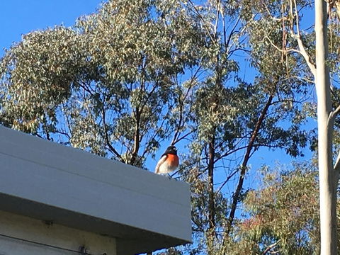 Applegate Lane Chalet - Accommodation in Bendigo 27