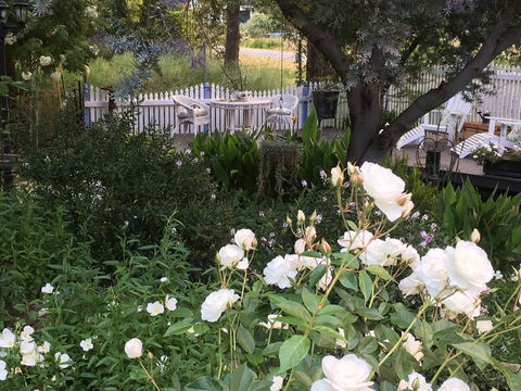 Applegate Lane Chalet - Accommodation in Bendigo 22
