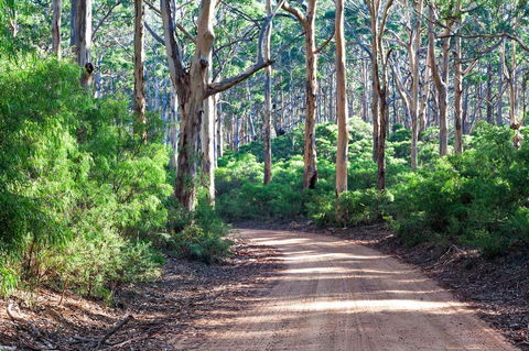 Margaret River Retreat - Accommodation in Bendigo 20