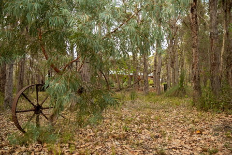 Denmark Forest Retreat - Accommodation in Bendigo 5