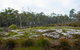 Denmark Forest Retreat - thumb 26