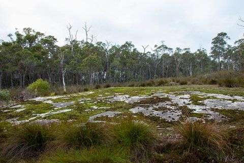 Denmark Forest Retreat - Accommodation in Bendigo 26