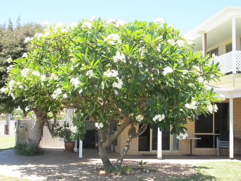 Kalbarri Riverfront Unit - Accommodation in Bendigo 6