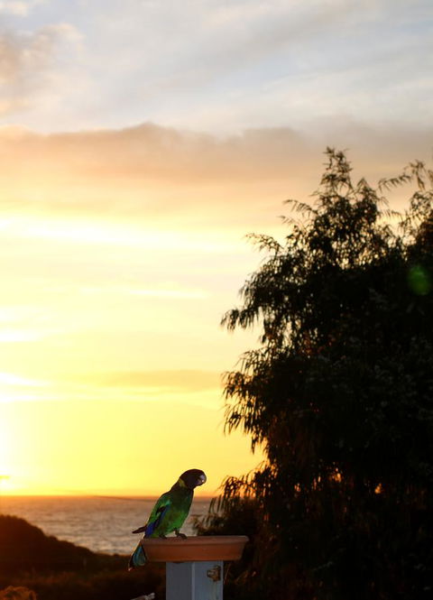 Peppy Beach Ocean Views - Accommodation in Bendigo 12