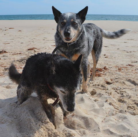 Peppy Beach Ocean Views - Accommodation in Bendigo 10