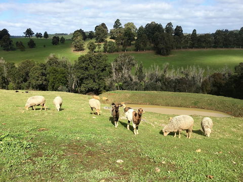 Balingup Highview Chalets - Accommodation in Bendigo 36