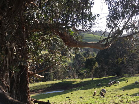 Balingup Highview Chalets - Accommodation in Bendigo 13