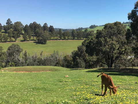 Balingup Highview Chalets - Accommodation in Bendigo 23