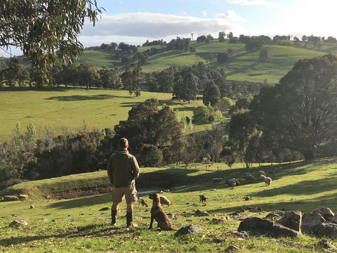 Balingup Highview Chalets - Accommodation in Bendigo 27