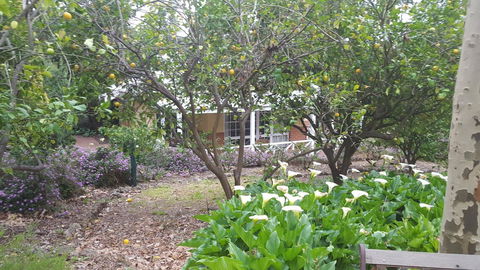Two Sisters Chalets - Accommodation in Bendigo 15