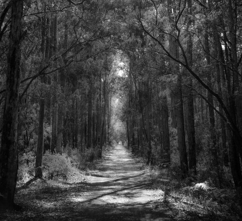 Indoyo Retreat - Accommodation in Bendigo 40