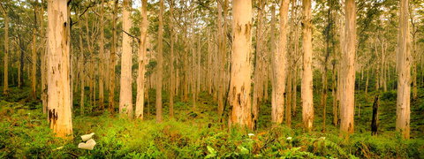 Indoyo Retreat - Accommodation in Bendigo 34