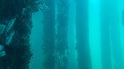 Indoyo Retreat - Accommodation in Bendigo 28