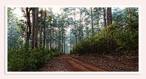 Oak Tree Barn Bridgetown - Accommodation in Bendigo 14