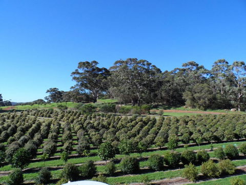 Tennessee Hill Chalets - Accommodation in Bendigo 15