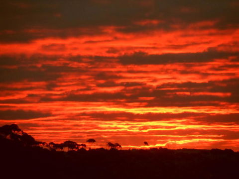 Tennessee Hill Chalets - Accommodation in Bendigo 3