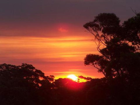 Tennessee Hill Chalets - Accommodation in Bendigo 9