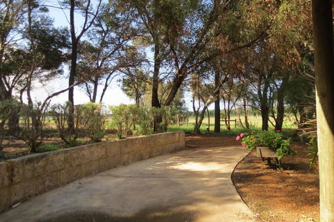 Bentwood Olive Grove Accommodation - Accommodation in Bendigo 2