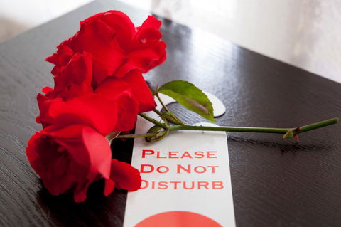 Manjimup Motor Inn - Accommodation in Bendigo 7