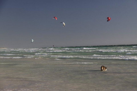 Dongara Tourist Park - Accommodation in Bendigo 33